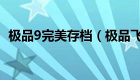 极品9完美存档（极品飞车9完美存档下载）