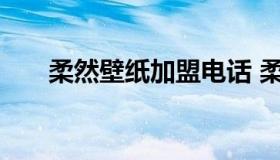 柔然壁纸加盟电话 柔然壁纸公司简介