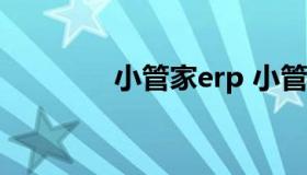 小管家erp 小管家erp5000