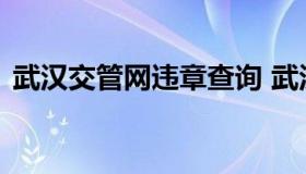 武汉交管网违章查询 武汉交警车辆违章查询