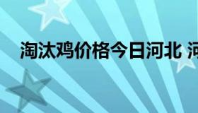 淘汰鸡价格今日河北 河北省淘汰鸡价格）