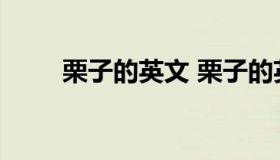 栗子的英文 栗子的英文单词怎么写