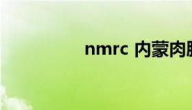 nmrc 内蒙肉肠怎么煮）