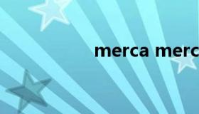 merca mercari美国）