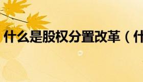 什么是股权分置改革（什么是股权分置改革）