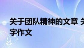 关于团队精神的文章 关于团队精神作文800字作文