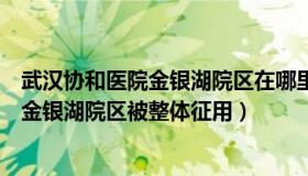 武汉协和医院金银湖院区在哪里（汪说民生：武汉协和医院金银湖院区被整体征用）