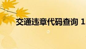 交通违章代码查询 123交通违章查询