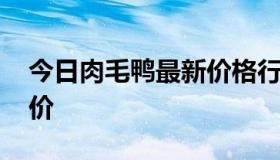 今日肉毛鸭最新价格行情 毛肉鸭价格最新报价