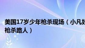 美国17岁少年枪杀现场（小凡好摄：美国19岁少年直播随机枪杀路人）