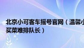 北京小可客车摇号官网（温馨小可：青海西宁回应少数群众买菜难排队长）