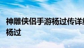 神雕侠侣手游杨过传详细攻略（神雕侠侣后传杨过