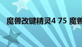 魔兽改键精灵4 75 魔兽改键精灵一键必杀