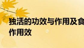 独活的功效与作用及食用方法 独活的功效与作用效