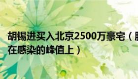 胡锡进买入北京2500万豪宅（股海顿悟：胡锡进：北京已处在感染的峰值上）