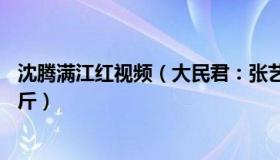 沈腾满江红视频（大民君：张艺谋：沈腾为拍满江红减了20斤）