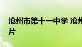 沧州市第十一中学 沧州市第十一中学校长照片