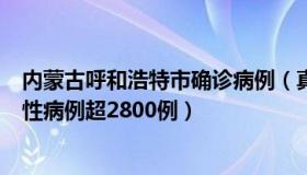 内蒙古呼和浩特市确诊病例（真言正语：内蒙古呼和浩特阳性病例超2800例）