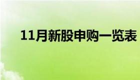 11月新股申购一览表（12月申购新股）