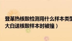 登革热核酸检测用什么样本类型（断尾的喵：广州交警回应大白送核酸样本时被撞）