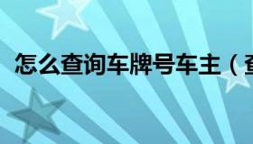 怎么查询车牌号车主（查询车牌号车主姓名