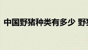 中国野猪种类有多少 野猪一共有多少个品种