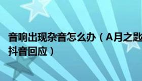 音响出现杂音怎么办（A月之匙a：世界杯转播解说出现杂音抖音回应）