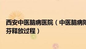 西安中医脑病医院（中医脑病陈越峰主任：高清镜头看布洛芬释放过程）