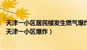 天津一小区居民楼发生燃气爆炸（边塞沿海：燃气公司回应天津一小区爆炸）