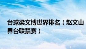 台球梁文博世界排名（赵文山：梁文博等6位中国选手遭世界台联禁赛）