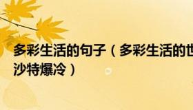 多彩生活的句子（多彩生活的世界：卡塔尔多地灯光秀庆祝沙特爆冷）