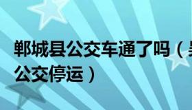 郸城县公交车通了吗（吴钩随笔：河南郸城县公交停运）