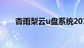 杏雨梨云u盘系统2011 杏雨梨云U盘