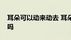 耳朵可以动来动去 耳朵动来动去是返祖现象吗