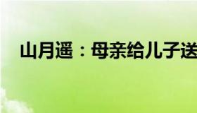 山月遥：母亲给儿子送饺子途中被撞身亡