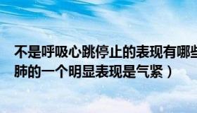 不是呼吸心跳停止的表现有哪些（呼吸专家赵铁良主任：白肺的一个明显表现是气紧）