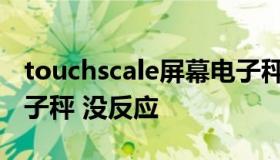 touchscale屏幕电子秤（touchscale屏幕电子秤 没反应