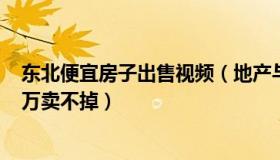 东北便宜房子出售视频（地产与情怀：东北小城45平房子5万卖不掉）