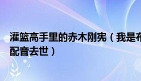 灌篮高手里的赤木刚宪（我是布叔：《灌篮高手》赤木刚宪配音去世）