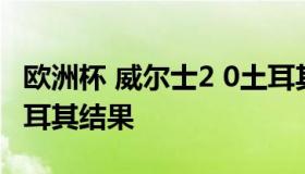 欧洲杯 威尔士2 0土耳其（欧洲杯威尔士vs土耳其结果