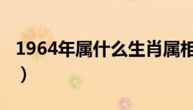 1964年属什么生肖属相（1964年是什么属相）