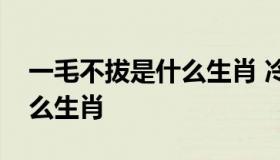 一毛不拔是什么生肖 冷水烫鸡一毛不拔是什么生肖