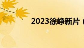 2023徐峥新片（徐铮新片）