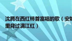 沈腾在西红柿首富唱的歌（安妮侃娱乐：沈腾在西虹市首富里背过满江红）