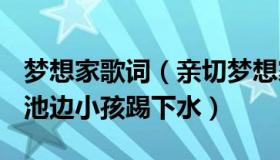 梦想家歌词（亲切梦想家NN：陌生男子将泳池边小孩踢下水）