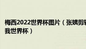 梅西2022世界杯图片（张姨剪辑影视：大马丁：感谢梅西给我世界杯）