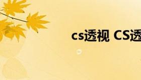 cs透视 CS透视2008