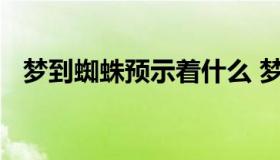 梦到蜘蛛预示着什么 梦见蜘蛛寓意着什么