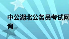 中公湖北公务员考试网 湖北中公省考排名查询