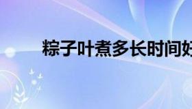 粽子叶煮多长时间好 粽子叶煮多久